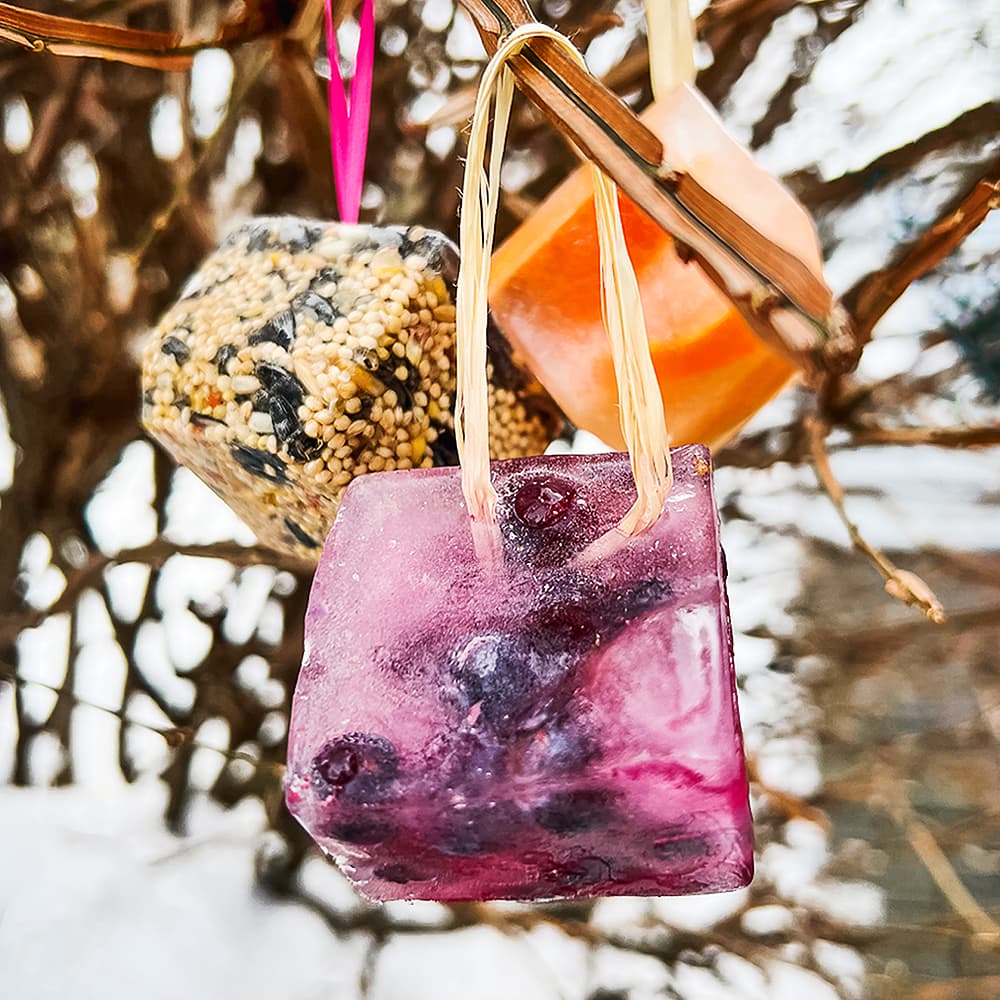 winter crafts for preschoolers - birdfeederes